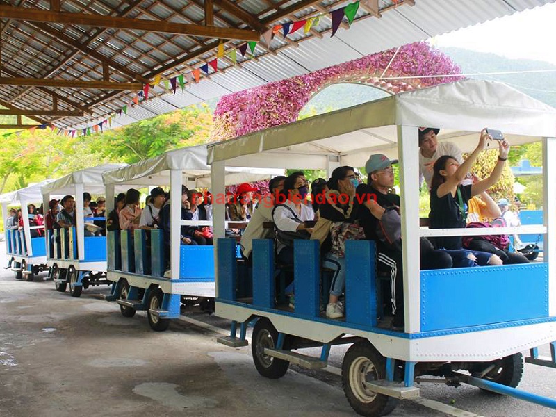 Xe điện hoặc xe lửa đưa quý khách đến tham quan khu vực Thác Yang Bay